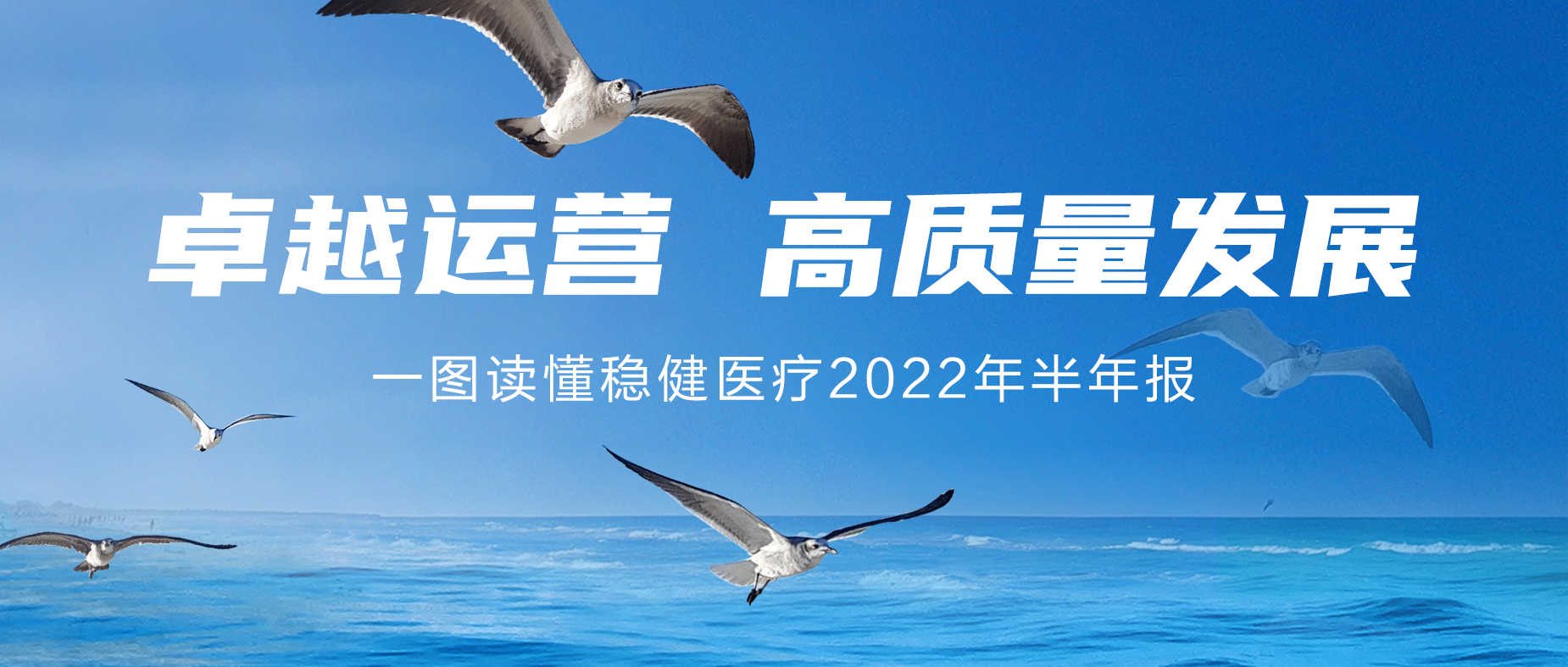 一图读懂918博天娱乐官网2022年半年报
