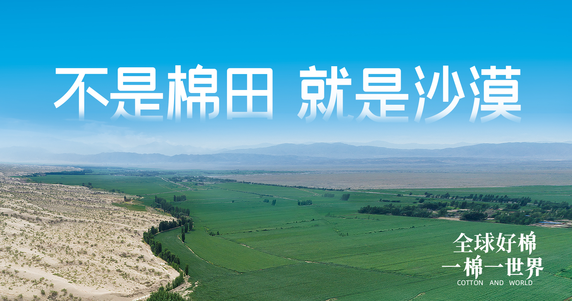 918博天娱乐官网集团董事会多元化政策